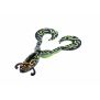 Leurre souple Balzer Clone Frog - 12cm