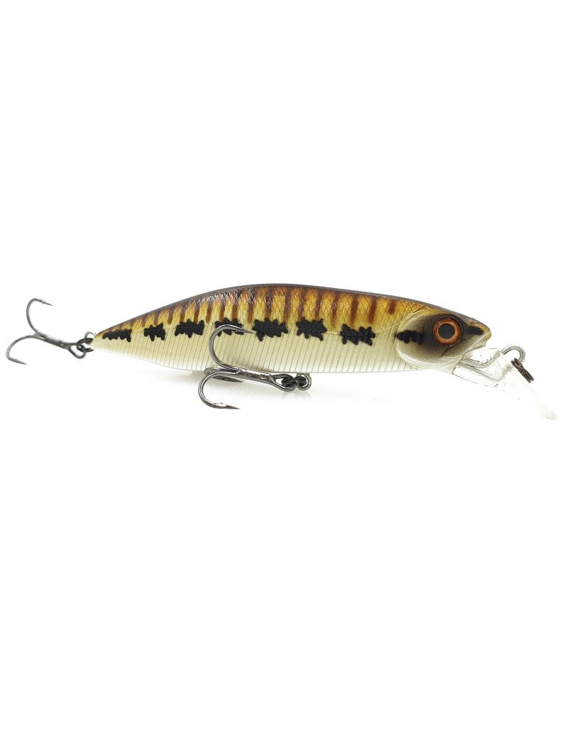 Poisson nageur Adam's Hump Minnow 83 S