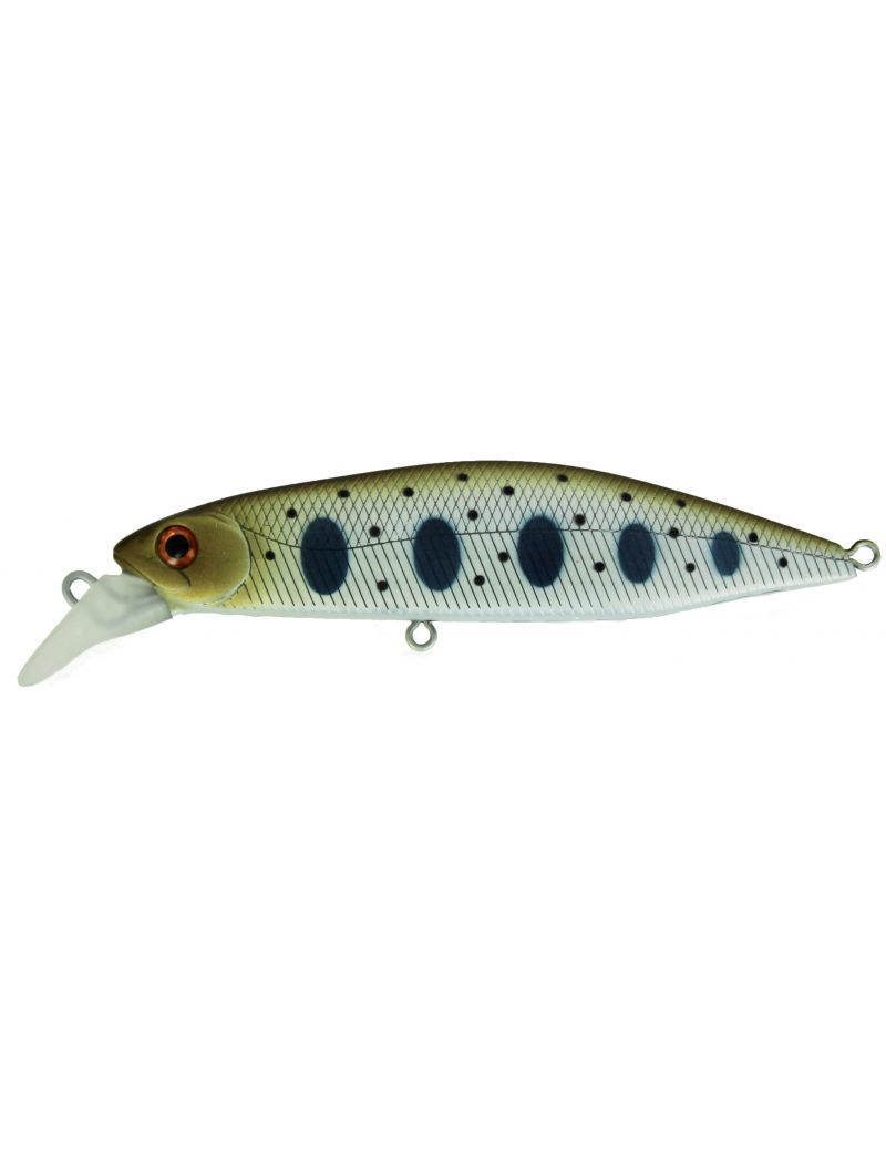 Poisson nageur Adam's Hump Minnow 83 S