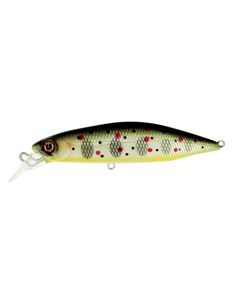Poisson nageur Adam's Hump Minnow 83 S