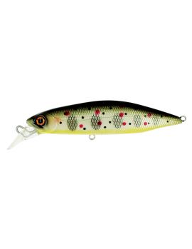 Poisson nageur Adam's Hump Minnow 83 S