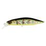 Poisson nageur Adam's Hump Minnow 83 S