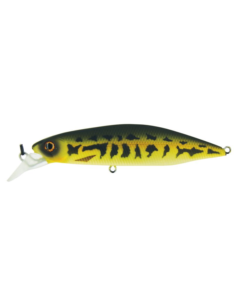 Poisson nageur Adam's Hump Minnow 83 S