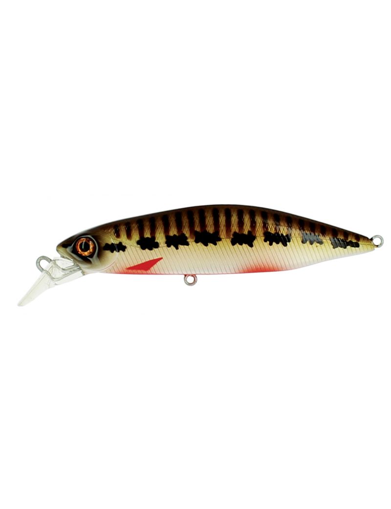 Poisson nageur Adam's Hump Minnow 83 S