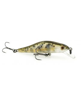 Poisson nageur Adam's Jerkbait 50S 5cm