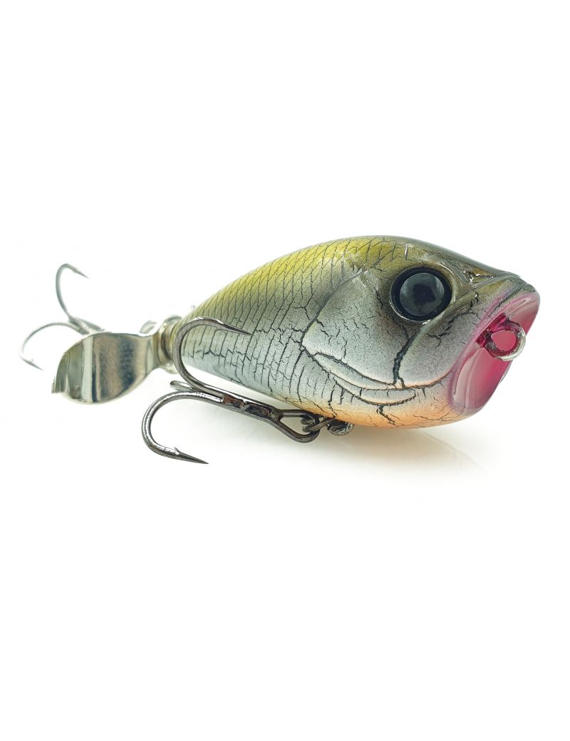 Poisson nageur Adam's Propeller 45F