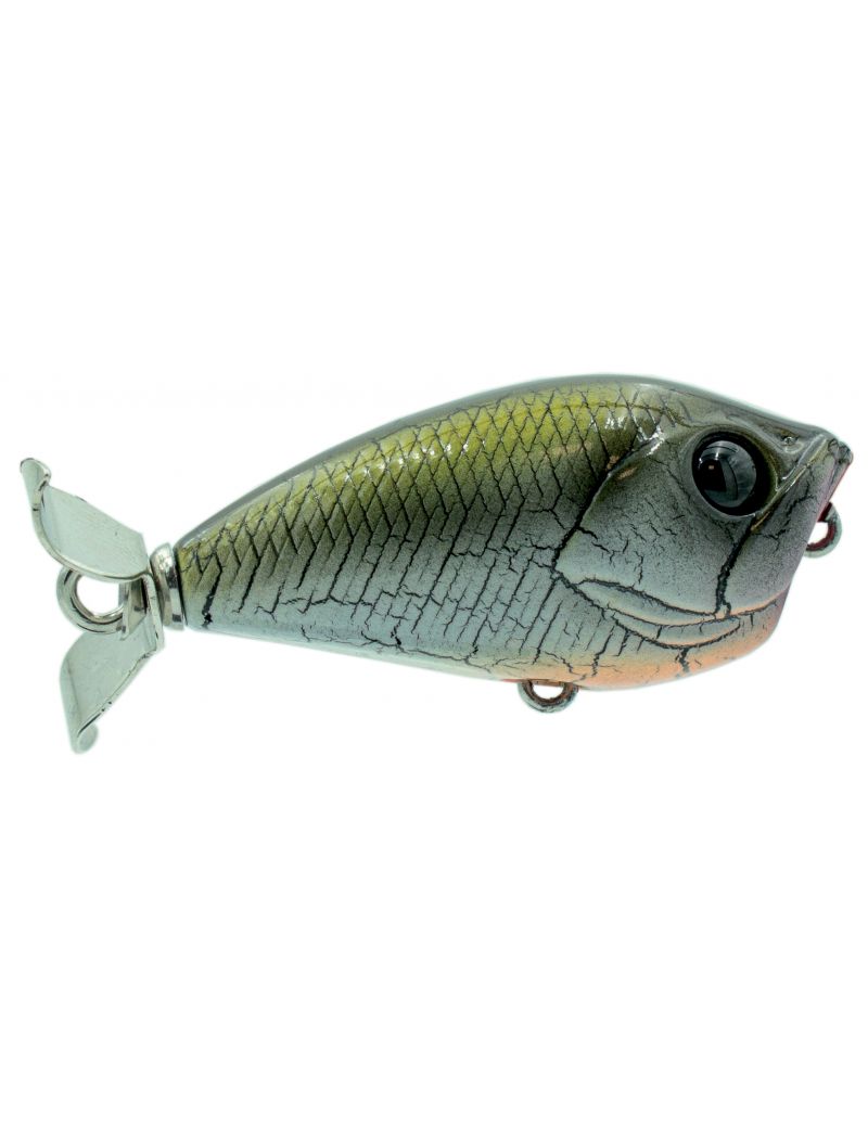 Poisson nageur Adam's Propeller 45F