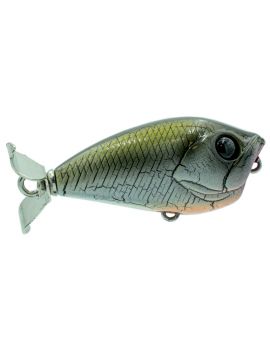 Poisson nageur Adam's Propeller 45F