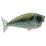 Poisson nageur Adam's Propeller 45F