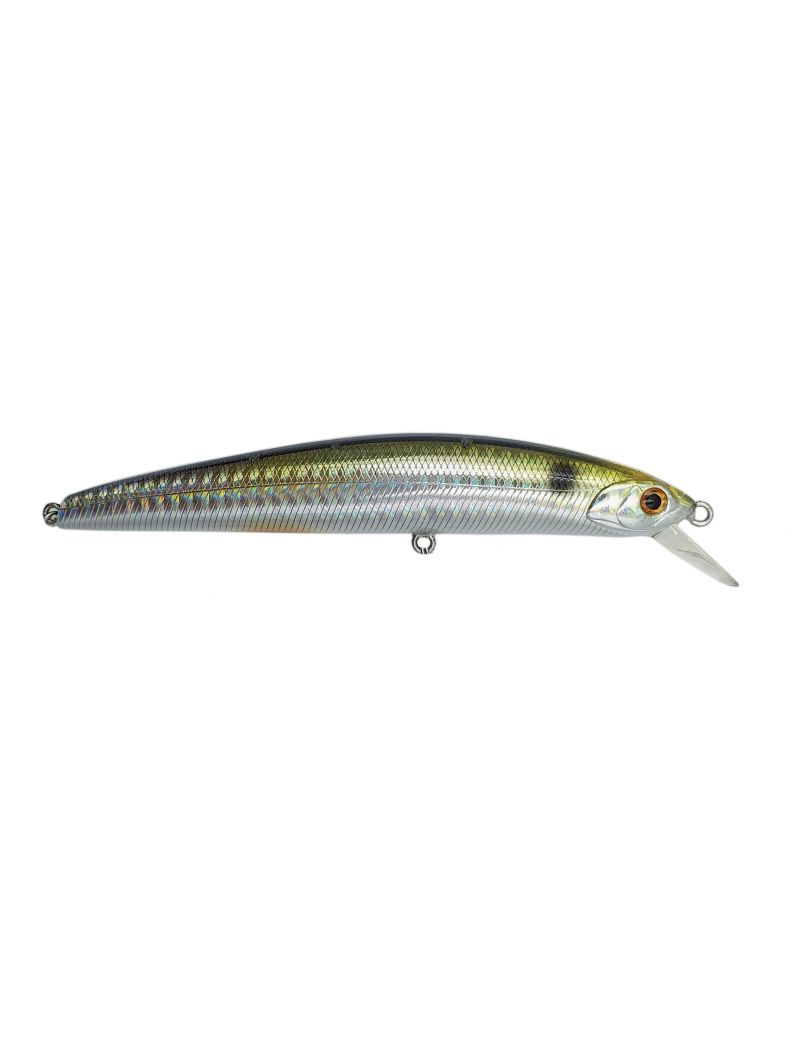 Poisson nageur Adam's SX Minnow 120 S Bass Hunter 12cm