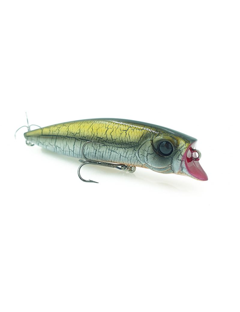 Poisson nageur Adam's R Bait 95F - 9.5cm