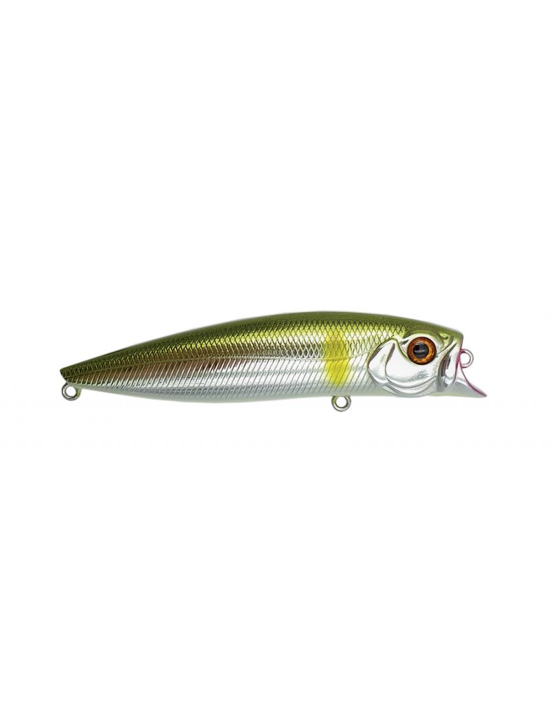 Poisson nageur Adam's R Bait 95F - 9.5cm