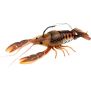 Leurre River 2 Sea Whopper Plopper 60 - 6cm