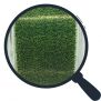 Nylon Pan Excellence Truite Discretion -150m