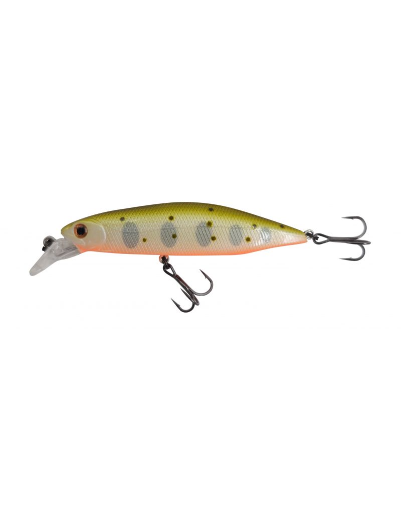 Poisson nageur Adam's Hump Minnow 83 S
