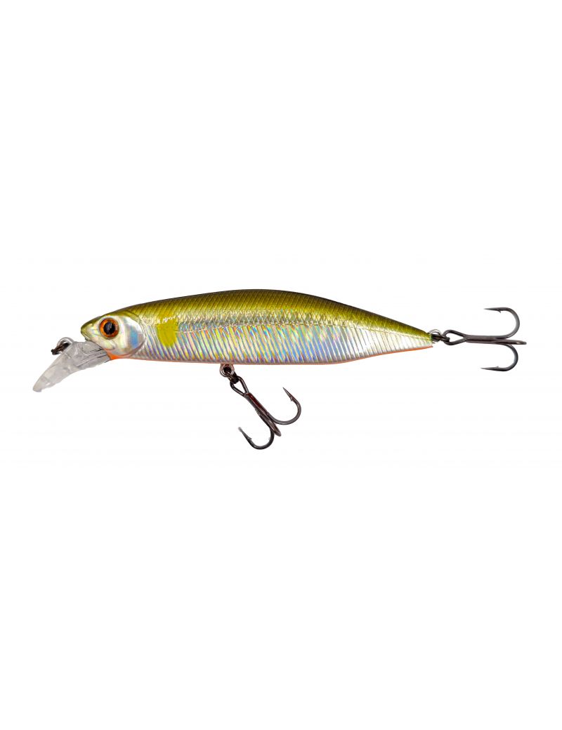 Poisson nageur Adam's Hump Minnow 83 S