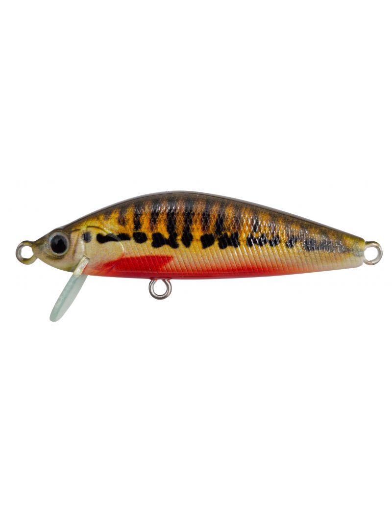 Poisson nageur Adam's Chiko Minnow 50 - 5cm