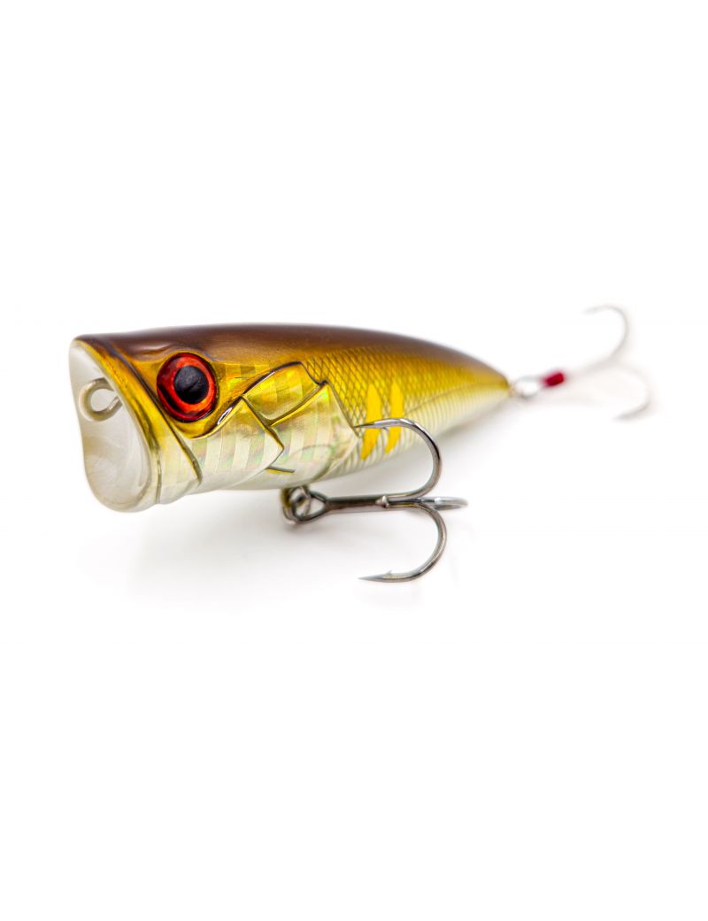 Poisson nageur Adam's Pop 66F - 6cm