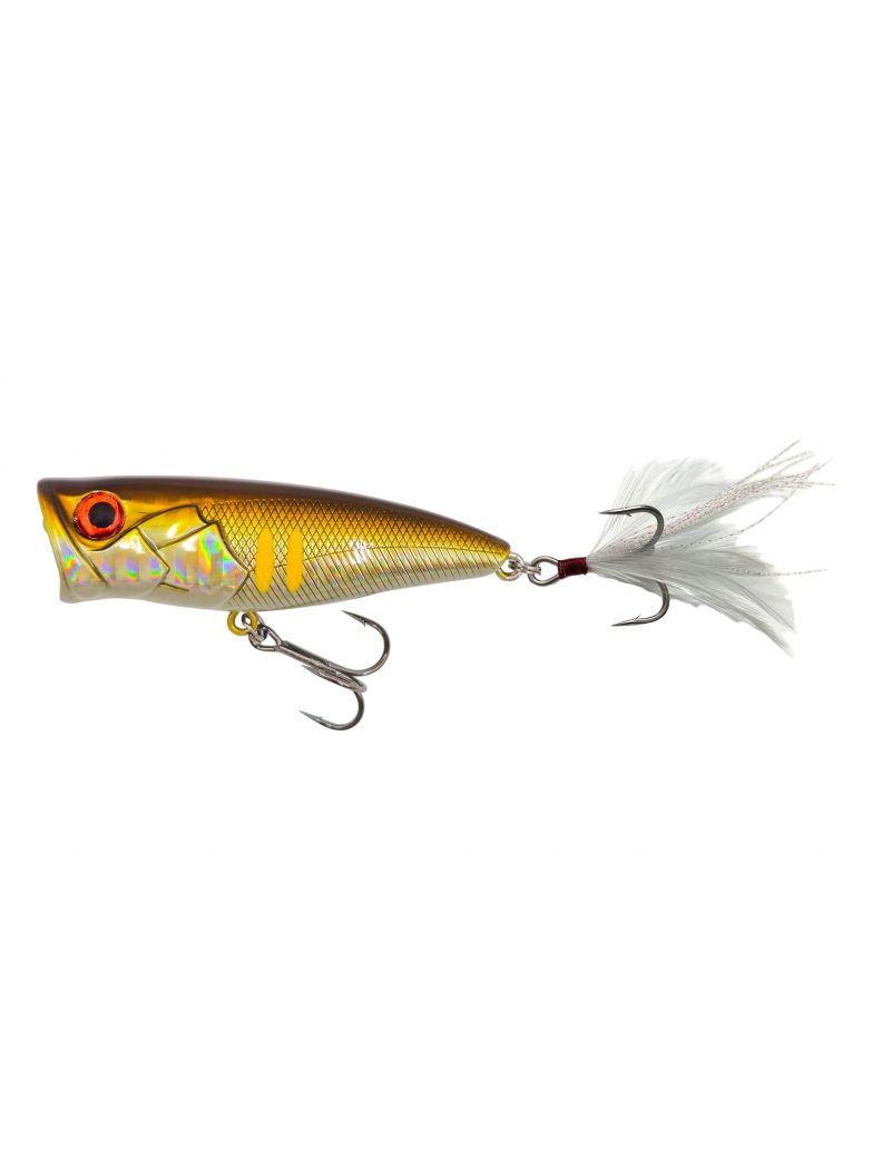 Poisson nageur Adam's Pop 66F - 6cm