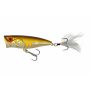 Poisson nageur Adam's Pop 66F - 6cm