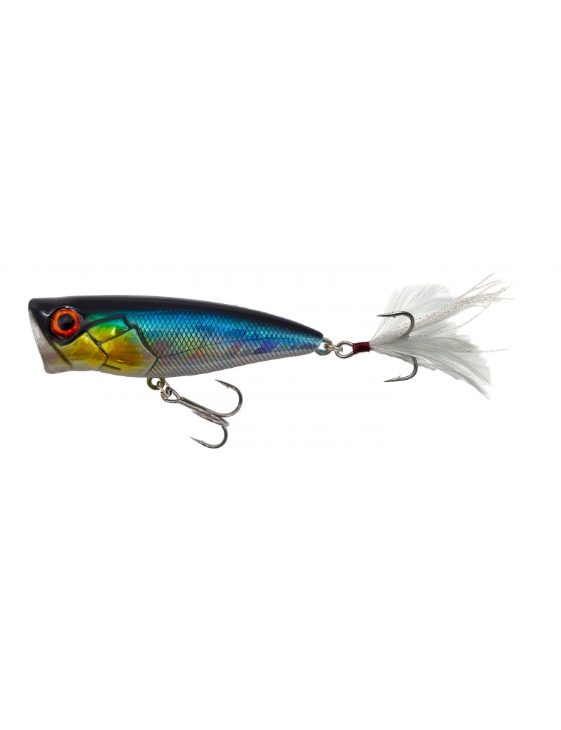 Poisson nageur Adam's Pop 66F - 6cm