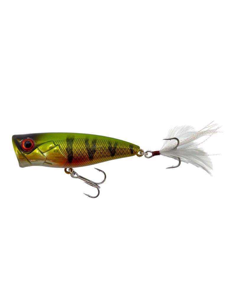 Poisson nageur Adam's Pop 66F - 6cm