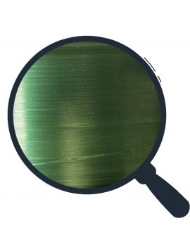 Nylon Adam's Spinning-Casting 150m