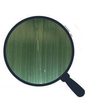 Nylon Pan Excellence Carnassier 150m