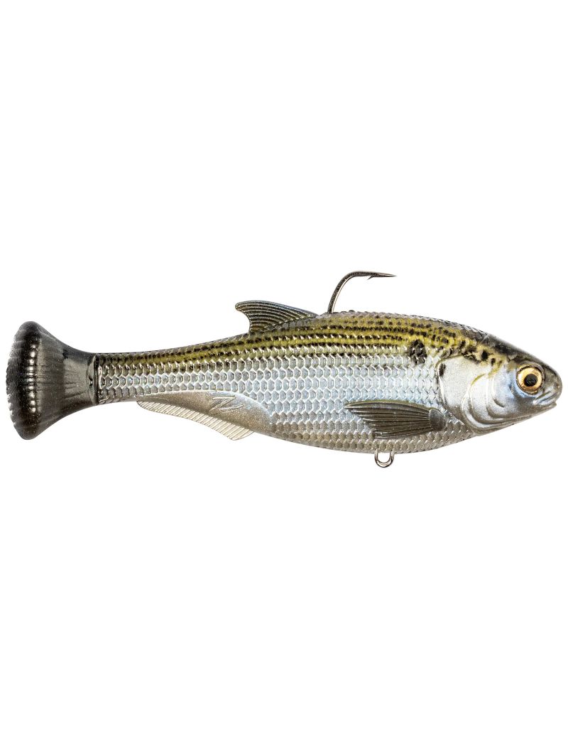 Leurre souple Z-Man Shadtron MT Slow Sink - 15cm