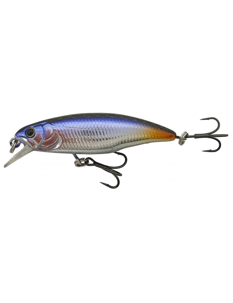 Poisson nageur Adam's Deal Minnow 50F 5cm