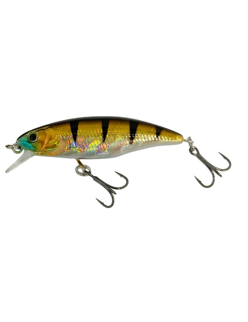 Poisson nageur Adam's Deal Minnow 50F 5cm