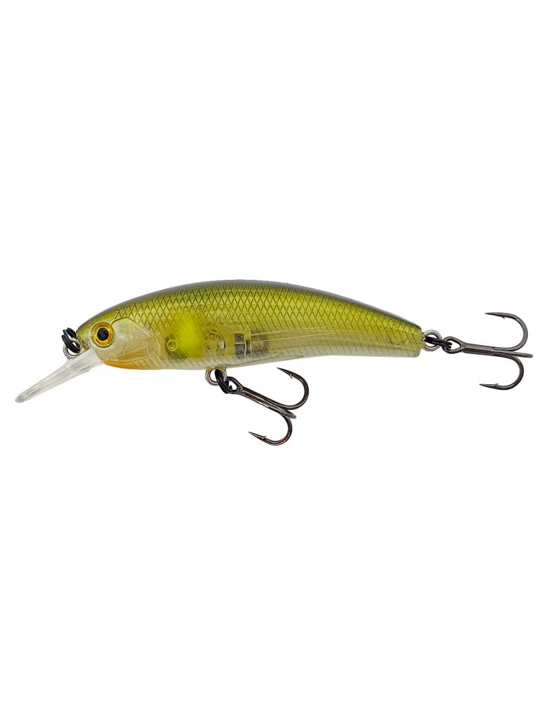 Poisson nageur Adam's ARX Minnow 55F 5.5cm