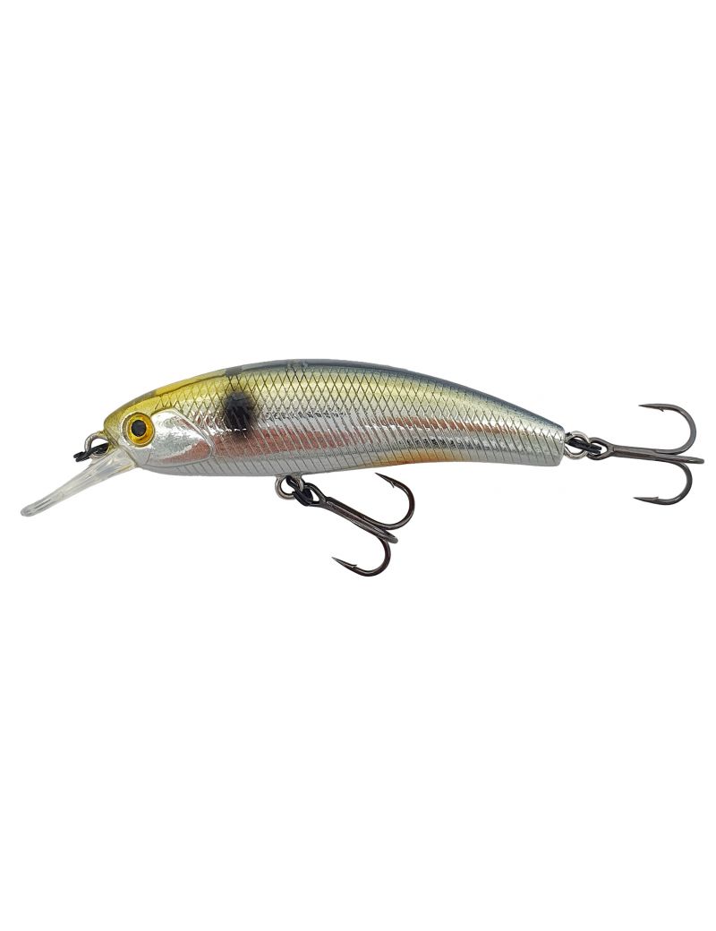 Poisson nageur Adam's ARX Minnow 55F 5.5cm