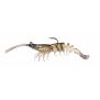 Leurre souple Z-Man Prawn Starz 8.90cm