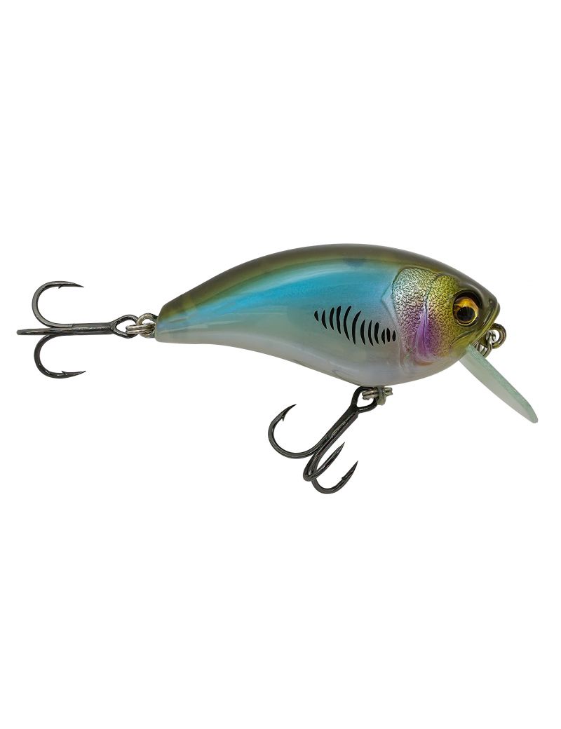 Poisson nageur Adam's Shuryö Flottant - 5.5cm