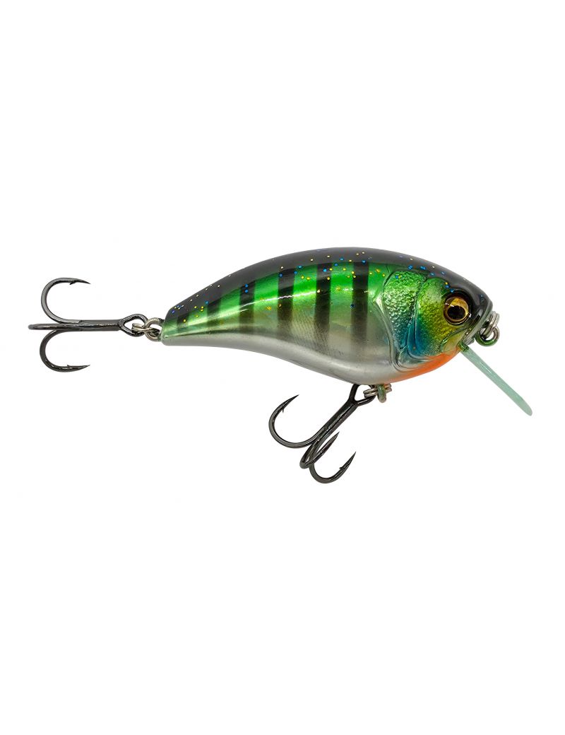 Poisson nageur Adam's Shuryö Flottant - 5.5cm