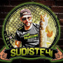 La sélection de Sudiste41